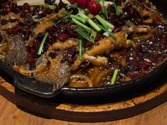 -老板恋上鱼(恒隆广场店)