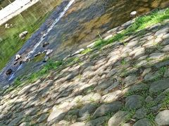 -鹿亭中村