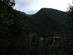 -黑河国家森林公园