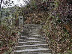 -南海湾森林生态园