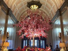 -上海和平饭店华懋阁 Cathay Room