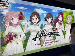 -animate(北京店)