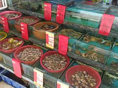 -鑫鸿达·海鲜闽菜热炒小馆(中山路店)