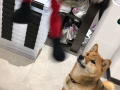 -NOTBAD 须时·咖啡馆