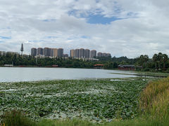 -洛龙公园