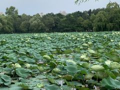 -长春市南湖公园