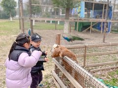 -中国扬子鳄村
