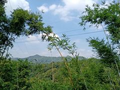 -广州市帽峰山景区