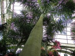 景点-祥源·阜阳生态乐园