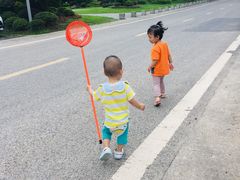 -铁山坪森林公园