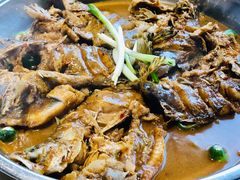 -力力渔港涉外店