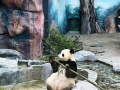 -苏州太湖国家湿地公园