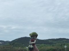 -西海岸生态观光园