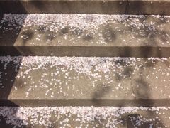 -苏州上方山国家森林公园