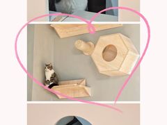 -啵啵喵·猫咖(攀华国际店)
