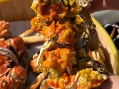 -七的湖·晚芳亭·阳澄湖农家菜·大闸蟹(莲花岛店)
