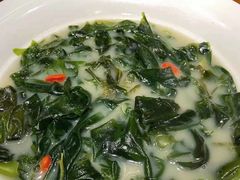 上汤海带苗-鼎盛私厨·新派顺德菜(上河坊店)