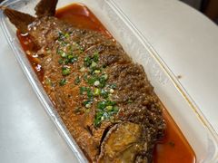 煎烧黄河大鲤鱼-老雒阳面馆·水席·洛阳菜(王城路店)