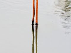 -大宁郁金香公园-停车场