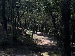 -南京市无想山景区