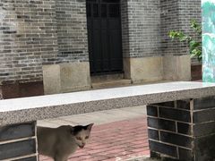 -伦教678文化街