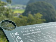 -万峰林风景区