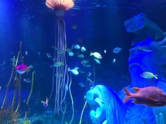 -沈阳海洋探索中心