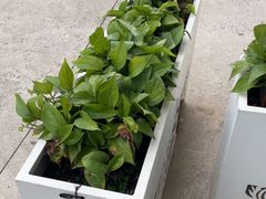 -移动谜城·大笨象密室逃脱(五棵松店)