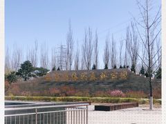 -永定河休闲森林公园