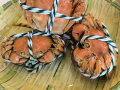 -蟹天蟹地农家菜·阳澄湖大闸蟹(浅水湾店)