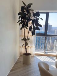 -HEYAN荷妍专业脱毛连锁机构