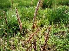 -汉景帝阳陵博物院