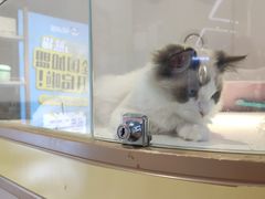 -龟与熊猫宠物公园(南坪店)