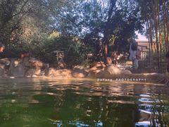 -湖泉半山温泉(湖泉生态园)