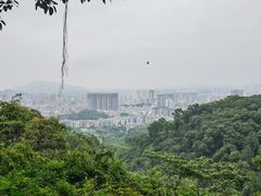 -广州市白云山风景名胜区