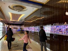 -UME影城(安贞DTS:X店)