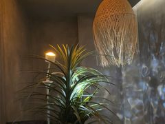 -施奈儿.洗头頭療.按摩SPA.采耳(上梅林店)