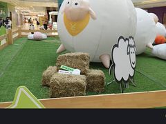 -阳光天地