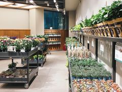 -鹿岛会员店 (龙湖三千集天街店)