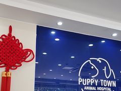 -芭比堂动物医院·24小时·眼科中心(深圳中心)