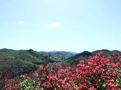 -大围山国家森林公园