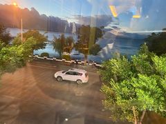 -野菌皇海景野生菌火锅(滨海大道店)