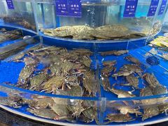 -天顺渔港·海景餐厅(星海广场店)