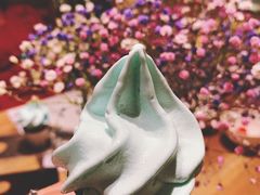 冰激凌-小大董·烤鸭(凤凰汇店)