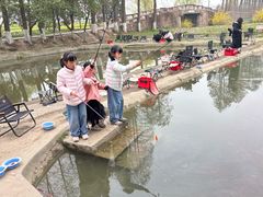-乌村
