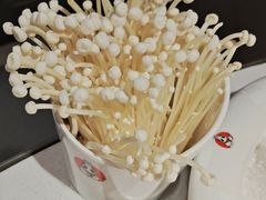 -川西坝子(苏州城市生活广场店)