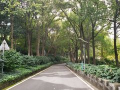 -上海市保健医疗中心