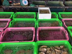 -众味海鲜大排档·活海鲜·潮汕味(南澳店)