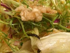 新开元虫子拌菜-新开元大酒店(花雨路店)