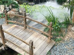 -陶野咖啡·面包披萨